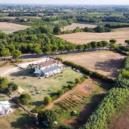 La Siba Experience Bed & Breakfast Forli Exterior photo