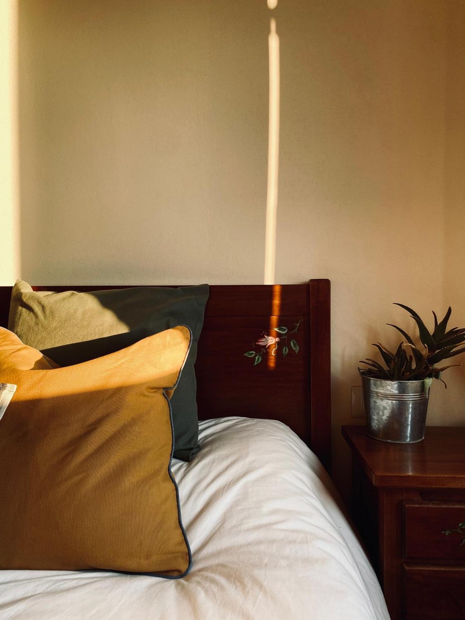 La Siba Experience Bed & Breakfast Forli Exterior photo