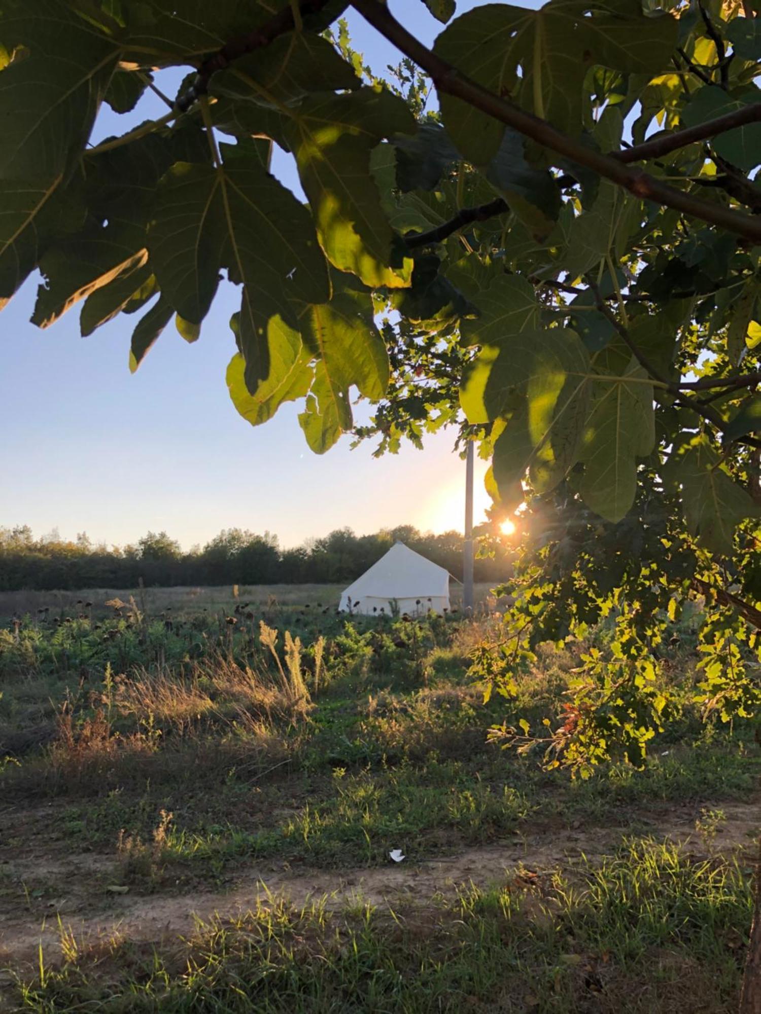 La Siba Experience Bed & Breakfast Forli Exterior photo